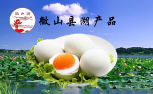 微山湖經(jīng)貿(mào)——一樣的海洋，不一樣的集結(jié)號